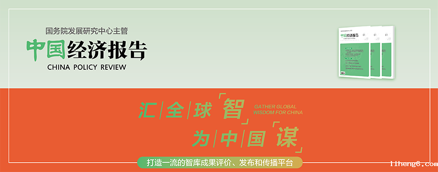 《中国经济报告》